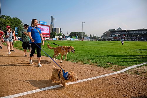 Mike Sudoma/Free Press
At the Bark at the Park event Saturday evening
August 17, 2024
