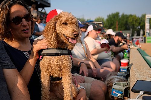 Mike Sudoma/Free Press
At the Bark at the Park event Saturday evening
August 17, 2024
