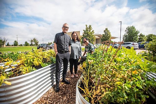 MIKAELA MACKENZIE / WINNIPEG FREE PRESS
	
Father Darrin Gurr (left), garden coordinator Rachel Banmann, and parishioner Rod Cantivero at the new community garden at St. Gianna Beretta Molla Roman Catholic Church on Friday, Aug. 16, 2024. The church is using the space to grow food to give to Villa Rosa and Missionaries of Charity, who give it away to needy recipients in the city.

For John Longhurst story.
Winnipeg Free Press 2024