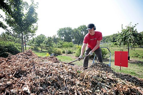 Ruth Bonneville /Free Press

Standup - apple orchard

Sam,Thiessen shovels mulch to be spread under the apple trees Monday while working in the fruit orchard off Churchill Drive which is part of the  Sustainable South Osborne Community Cooperative.  Thiessen is  a student at the U of M but  works  at the orchard in the summer months.  

The orchard is just one of several gardens that make up the cooperative and it includes a variety of fruits including apples, pears, plums and appricots.


Aug 19, 2024