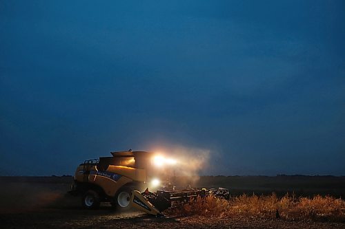 20082024
A combine works to harvest peas in a field southwest of Rivers at dusk on Monday evening.
(Tim Smith/The Brandon Sun)