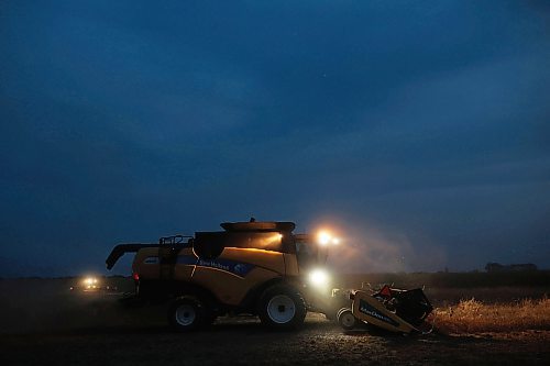 20082024
Combines work to harvest peas in a field southwest of Rivers at dusk on Monday evening.
(Tim Smith/The Brandon Sun)