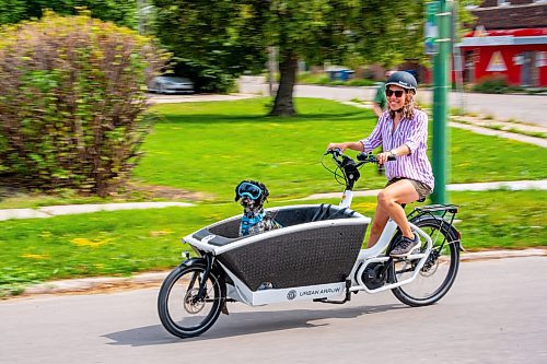 NIC ADAM / FREE PRESS
Cyclist Julia Schroeder rides her cargo bike along Annabella St. Wednesday with her dog Willow. She will be participating in Thursday&#x2019;s group ride.
240821 - Wednesday, August 21, 2024.

Reporter: Joyanne