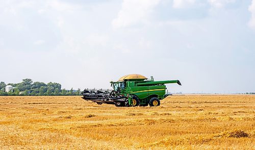 NIC ADAM / FREE PRESS
11 combines and several grain trucks work pulling grain out of the ground at a field outside Landmark, MB., Tuesday, the proceeds of which will be donated to the Foodgrains Bank. 
240820 - Tuesday, August 20, 2024.

Reporter: