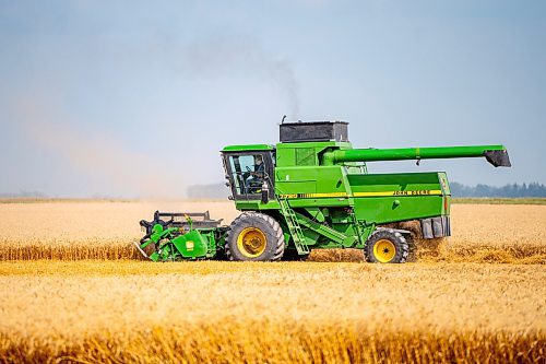 NIC ADAM / FREE PRESS
11 combines and several grain trucks work pulling grain out of the ground at a field outside Landmark, MB., Tuesday, the proceeds of which will be donated to the Foodgrains Bank. 
240820 - Tuesday, August 20, 2024.

Reporter: