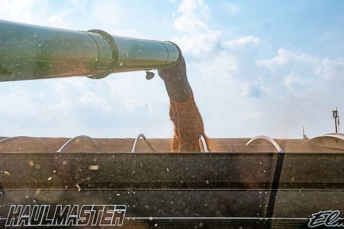 NIC ADAM / FREE PRESS
A combine empties its bin at the growing project&#x2019;s field outside Landmark, MB., Tuesday. 
240820 - Tuesday, August 20, 2024.

Reporter: