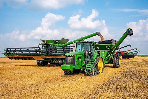 NIC ADAM / FREE PRESS
Combines line up to empty their bins at the growing project&#x2019;s field outside Landmark, MB., Tuesday. He&#x2019;s been driving a combine since he was 14 and likes to volunteer for the project every year.
240820 - Tuesday, August 20, 2024.

Reporter: