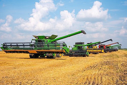 NIC ADAM / FREE PRESS
Combines line up to empty their bins at the growing project&#x2019;s field outside Landmark, MB., Tuesday. He&#x2019;s been driving a combine since he was 14 and likes to volunteer for the project every year.
240820 - Tuesday, August 20, 2024.

Reporter: