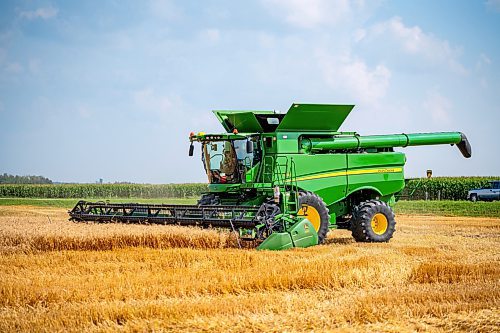 NIC ADAM / FREE PRESS
11 combines and several grain trucks work pulling grain out of the ground at a field outside Landmark, MB., Tuesday, the proceeds of which will be donated to the Foodgrains Bank. 
240820 - Tuesday, August 20, 2024.

Reporter: