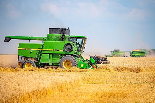 NIC ADAM / FREE PRESS
11 combines and several grain trucks work pulling grain out of the ground at a field outside Landmark, MB., Tuesday, the proceeds of which will be donated to the Foodgrains Bank. 
240820 - Tuesday, August 20, 2024.

Reporter: