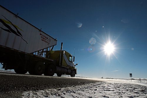 Brandon Sun A semi truck makes its way south along Brandon's Eastern Access Highway on Thursday morning, as gusting winds blow snow across the roadway. (Matt Goerzen/The Brandon Sun)