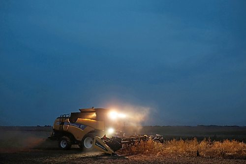 20082024
A combine works to harvest peas in a field southwest of Rivers at dusk on Monday evening.
(Tim Smith/The Brandon Sun)