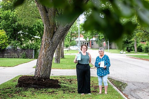 MIKAELA MACKENZIE / WINNIPEG FREE PRESS
	
Paige Johal (left) and Joyce Maryk, who were forced to remove tree decorations and a garden box on the boulevard after recieving notices from the city, in their Transcona neighbourhood on Thursday, Aug. 22, 2024.

For Nicole story.
Winnipeg Free Press 2024