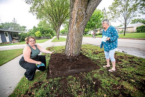 MIKAELA MACKENZIE / WINNIPEG FREE PRESS
	
Paige Johal (left) and Joyce Maryk, who were forced to remove tree decorations and a garden box on the boulevard after recieving notices from the city, in their Transcona neighbourhood on Thursday, Aug. 22, 2024.

For Nicole story.
Winnipeg Free Press 2024