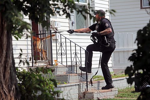 Police entered a home on Victoria Ave E the afternoon of Aug. 23, using a police dog to search the home and nearby alleyways. (Connor McDowell/Brandon Sun)