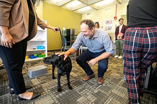 MIKAELA MACKENZIE / WINNIPEG FREE PRESS
	
Justice minister Matt Wiebe greets victim services support dog Gloucester (aka Glossy) on Monday, Aug. 26, 2024. 

For Nicole story.
Winnipeg Free Press 2024