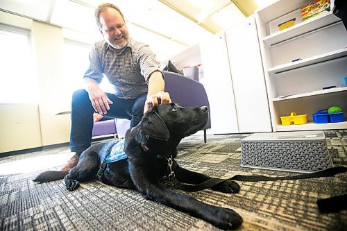 MIKAELA MACKENZIE / WINNIPEG FREE PRESS
	
Justice minister Matt Wiebe and victim services support dog Gloucester (aka Glossy) on Monday, Aug. 26, 2024. 

For Nicole story.
Winnipeg Free Press 2024