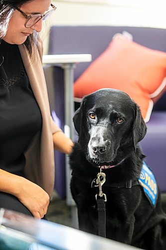 MIKAELA MACKENZIE / WINNIPEG FREE PRESS
	
Victim services worker Carla Deeley with victim services support dog Gloucester (aka Glossy) on Monday, Aug. 26, 2024. 

For Nicole story.
Winnipeg Free Press 2024