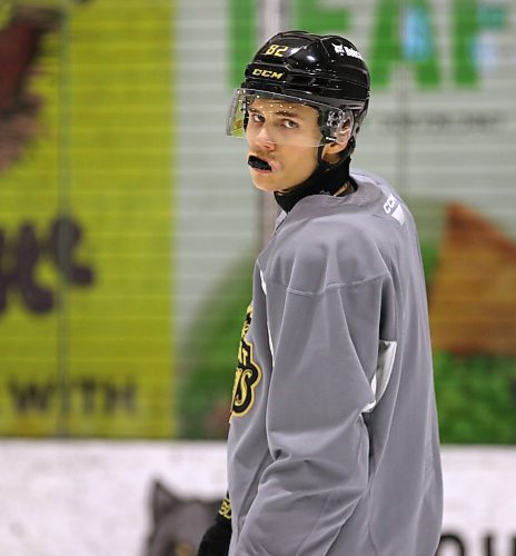 In 67 regular season games as a Western Hockey League rookie, Brandon Wheat Kings Dominik Petr had 17 goals and 28 assists with 16 penalty minutes. More will be expected in his second WHL season. (Perry Bergson/The Brandon Sun)
 