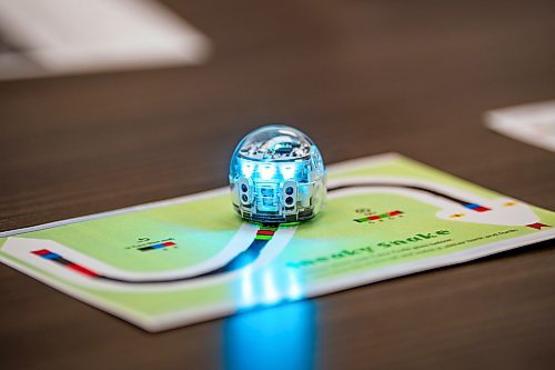 NIC ADAM / FREE PRESS
Attendees test Ozobots, a type of robot that can be used to help teach students about farming automation, at Innovation Farms Tuesday.
240826 - Monday, August 26, 2024.

Reporter: Gabby