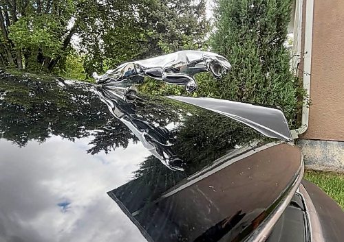 The jaguar emblem on the hood of Steve Van Vlaenderen's 1988 Jaguar XJS convertible with a V-12 engine, the recognizable front-facing silver jaguar cat roaring. (Michele McDougall/The Brandon Sun)
