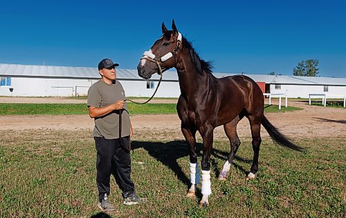 MIKE DEAL / FREE PRESS
Trainer Steve Keplin, Jr. with horse Exacting at Assiniboia Downs Friday morning.
Reporter: George Williams
240830 - Friday, August 30, 2024.