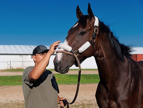 MIKE DEAL / FREE PRESS
Trainer Steve Keplin, Jr. with horse Exacting at Assiniboia Downs Friday morning.
Reporter: George Williams
240830 - Friday, August 30, 2024.