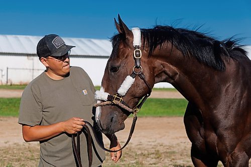 MIKE DEAL / FREE PRESS
Trainer Steve Keplin, Jr. with horse Exacting at Assiniboia Downs Friday morning.
Reporter: George Williams
240830 - Friday, August 30, 2024.