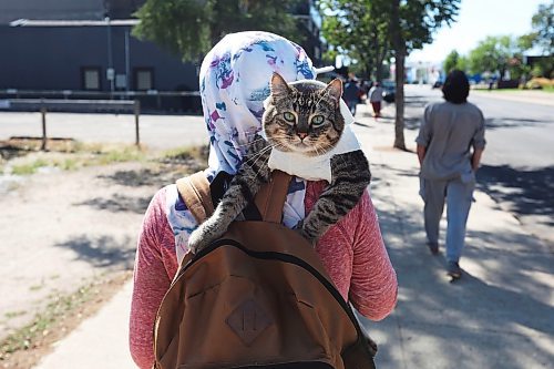 30082024
Talix Cross and her cat Ted take part in the International Toxic Drug Poisoning Awareness Day walk in downtown Brandon on Friday. The walk began and ended at Princess Park and was followed by speakers and a lunch.  (Tim Smith/The Brandon Sun)