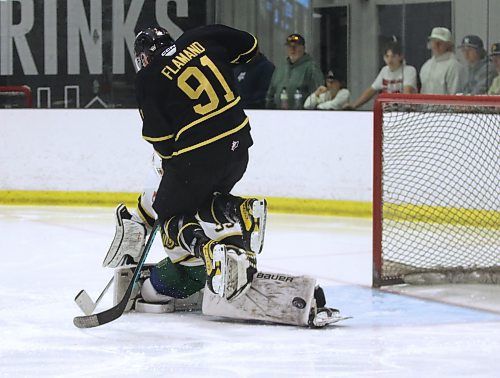 Team Black forward Nolan Flamand (91) leaps in the air to screen Team Gold goalie Greyson Moroz (33) as the puck hits his left pad near the toe during the annual Black and Gold intrasquad game involving Brandon Wheat Kings veterans and prospects at J&amp;G Homes Arena on Monday afternoon. (Perry Bergson/The Brandon Sun)
Sept. 3, 2024