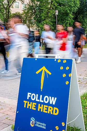 NIC ADAM / FREE PRESS
Hundreds of first-year students follow the herd towards a pep rally at the IG Athletic Centre during the UofM fall orientation Tuesday.
240903 - Tuesday, September 03, 2024.

Reporter:?