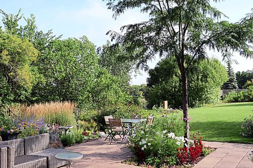 Colleen Zacharias / Free Press
Northern Acclaim honey locust with its lacy foliage provides light shade and unique tree diversity.
