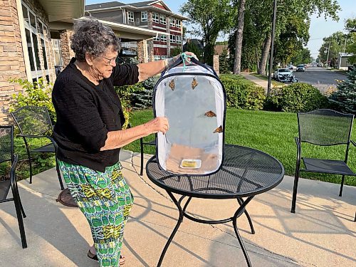 Pam Stacy prepares to release a monarch butterfly from its habitat cage at Rotary Villas at Crocus Gardens on Tuesday. (Michele McDougall/The Brandon Sun)