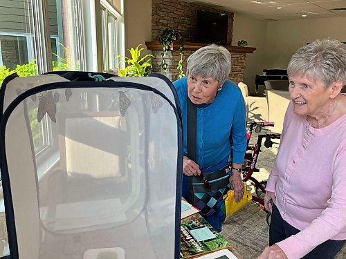 Sylvia Barr (left) and Myrna Barkley look at the monarch butterfly habitat cage at Rotary Villas at Crocus Gardens on Tuesday. (Michele McDougall/The Brandon Sun)