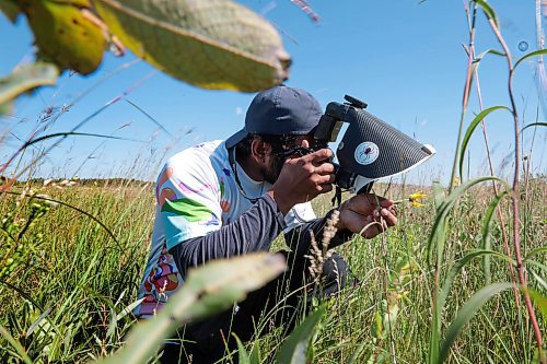 Ruth Bonneville /Free Press

Feature - Bee specialist 

Photos of Thilina Hettiarachchi, a PhD candidate, doing field work-- collecting bees and other pollinators and taking photos in the field at the south station, at the Tall Grass Prairie Preserve Friday,

Thilina Hettiarachchi, a PhD candidate in Entomology at the University of MB. Is a specialist in bees and he's  discovered a new species of the insect.  

He uses macrophotography as a tool to analyze the species of insect he is studying in the field and is recognized internationally for his macrophotography.


Story by Martin Zeilig

Aug 30th, 2024