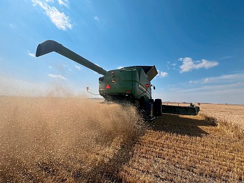 Wheat chaff spreads out from a combine operated by Neil Waldner of Hillside Colony under a sunny blue sky during a late summer harvest on 80 acres just north of Brandon on Tuesday afternoon. (Matt Goerzen/The Brandon Sun)