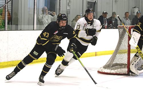 Cameron Allard (43), in black, races veteran Roger McQueen (13) around the net during the Brandon Wheat Kings' annual Black and Gold game at J&G Homes Arena on Monday afternoon. (Perry Bergson/The Brandon Sun)
Sept. 5, 2024