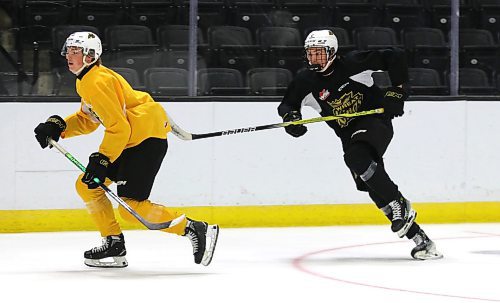 Brandon Wheat Kings prospect Cameron Allard, in black, tries to catch up to veteran forward Nick Johnson, in yellow, during practice at Westoba Place on Thursday afternoon. (Perry Bergson/The Brandon Sun)
Sept. 5, 2024