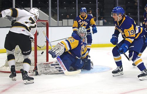 Brandon Wheat Kings forward Brady Turko tries to knock the puck out of the air as Saskatoon Blades goalie Logan Cunningham looks on during Western Hockey League preseason action at Westoba Place on Friday evening. (Perry Bergson/The Brandon Sun)
Sept. 6, 2024