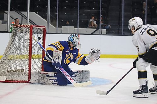 Brandon Wheat Kings forward Jaxon Jacobson finds the top corner behind Saskatoon Blades goalie Logan Cunningham during Western Hockey League preseason action at Westoba Place on Friday evening. (Perry Bergson/The Brandon Sun)
Sept. 6, 2024