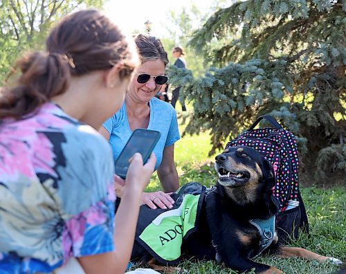 A dog enjoys some petting and a photo-op in the shade at the Brandon Humane Society's 21st annual Wag-A-Tail Walk-A-Thon held at Kin Park on Sunday. The event, in which participants walk their own dog or walk in memory of a pet, is a regular fundraiser for the humane society. (Photos by Geena Mortfield/The Brandon Sun)