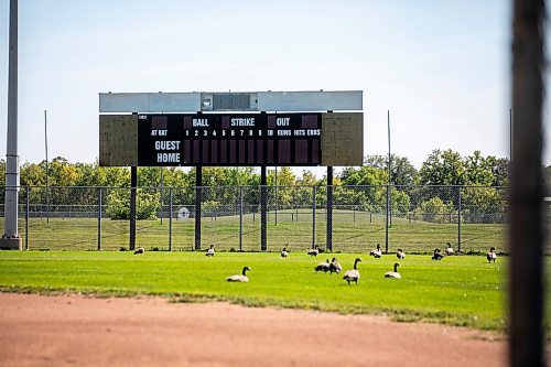 MIKAELA MACKENZIE / WINNIPEG FREE PRESS

The John Blumberg Sports Complex, which Red River Ex CEO Garth Rogerson would like to revitalize, on Monday, Sept. 9, 2024. The local exhibition association is seeking a 99-year lease to renovate and build on to the baseball and soccer complex at 4540 Portage Ave.

For Nicole story.
Winnipeg Free Press 2024