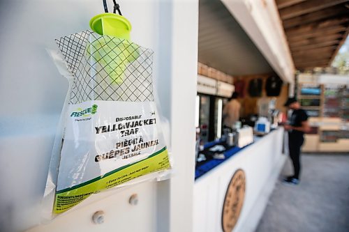 JOHN WOODS / FREE PRESS
A wasp trap beside the bar at the The Beer Can Monday, September 9, 2024. The city says wasps numbers are no different from other years.

Reporter: Malak