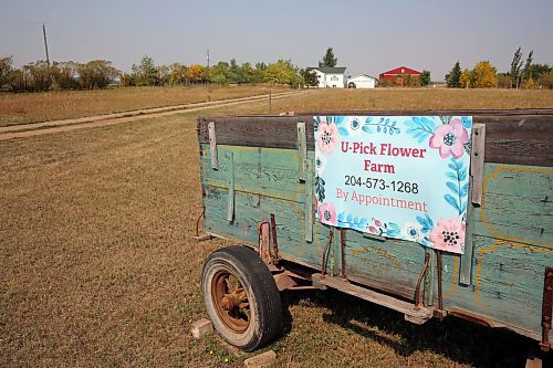 Floral Affair u-pick flowers is located outside of Brandon in Hazel Thorne's backyard. She started the business three years ago and is looking to expand after steady growth. (Connor McDowell/Brandon Sun)