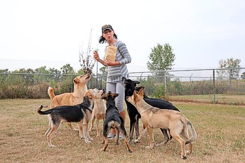 Brandon Humane Society executive director/manager Tracy Munn enjoys a few moments handing out treats to some hungry four-legged friends on Wednesday afternoon. Though she is still working on a final tally, Munn told the Sun yesterday that last weekend's annual Wag-A-Tail Walk-A-Thon was even more successful than 2023, with close to $39,000 coming in to support the non-profit. (Matt Goerzen/The Brandon Sun)