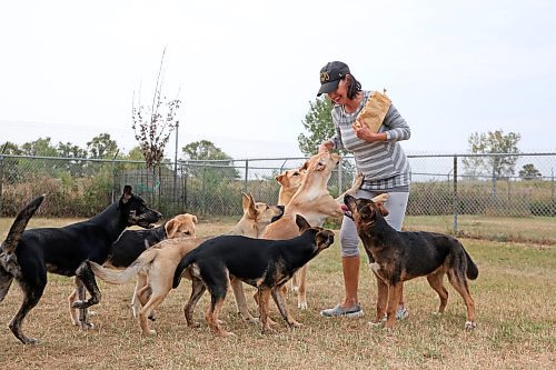 Brandon Humane Society executive director/manager Tracy Munn enjoys a few moments handing out treats to some hungry four-legged friends on Wednesday afternoon. Though she is still working on a final tally, Munn told the Sun yesterday that last weekend's annual Wag-A-Tail Walk-A-Thon was even more successful than 2023, with close to $39,000 coming in to support the non-profit. (Matt Goerzen/The Brandon Sun)