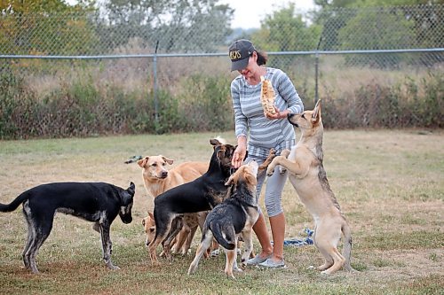 Brandon Humane Society executive director/manager Tracy Munn enjoys a few moments handing out treats to some hungry four-legged friends on Wednesday afternoon. Though she is still working on a final tally, Munn told the Sun yesterday that last weekend's annual Wag-A-Tail Walk-A-Thon was even more successful than 2023, with close to $39,000 coming in to support the non-profit. (Matt Goerzen/The Brandon Sun)