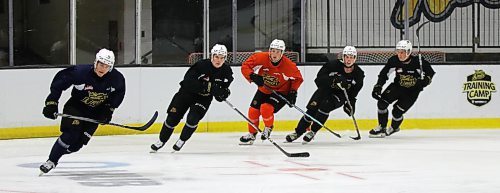 Brandon Wheat Kings players Caleb Hadland, left to right, Seth Tansem, Rylen Roersma, Dylan Ronald and Luke Shipley skate around the net during a recent practice at Westoba Place. (Perry Bergson/The Brandon Sun)
Sept. 12, 2024