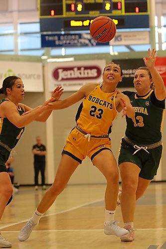 Brandon University Bobcats Faith Clearsky and Regina Cougars Brenna Metz chase a loose ball during their women's basketball exhibition game at the Healthy Living Centre on Thursday. Regina won 80-44. (Thomas Friesen/The Brandon Sun)