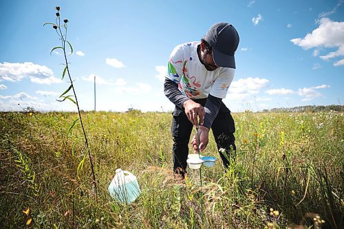 Ruth Bonneville /Free Press

Feature - Bee specialist 

Photos of Thilina Hettiarachchi, and his field research assistant, Reid Miller, setting up a elevated bee bowl sampling station in the field at the south station, at the Tall Grass Prairie Preserve Friday,

Thilina Hettiarachchi, a PhD candidate in Entomology at the University of MB. Is a specialist in bees and he's  discovered a new species of the insect.  

He uses macrophotography as a tool to analyze the species of insect he is studying in the field and is recognized internationally for his macrophotography.


I hope a photographer can be sent out too
Story by Martin Zeilig

Aug 30th, 2024